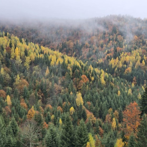 Temperaturi peste medie în toată țara până aproape de sfârșitul lunii noiembrie