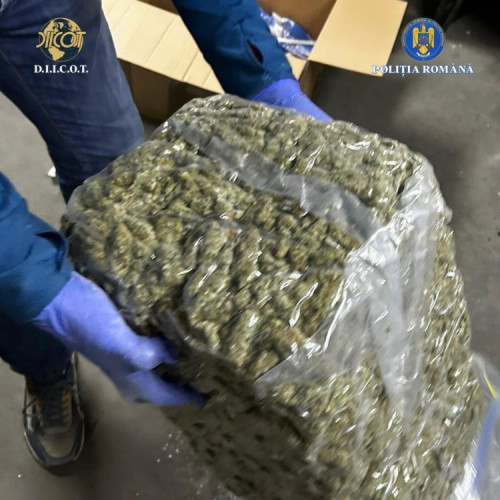 Doi inculpați reținuți pentru trafic de droguri aduse din Spania