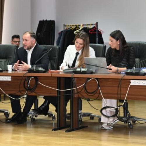 Sectorul 2 primește delegații europene pentru un schimb de bune practici urbane