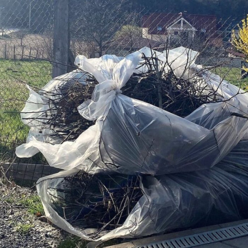Programul colectării deșeurilor vegetale în Bistrița și localitățile limitrofe
