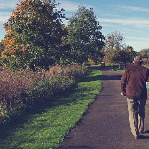 Facilitățile la transport pentru pensionari și veterani, prelungite până în 2026