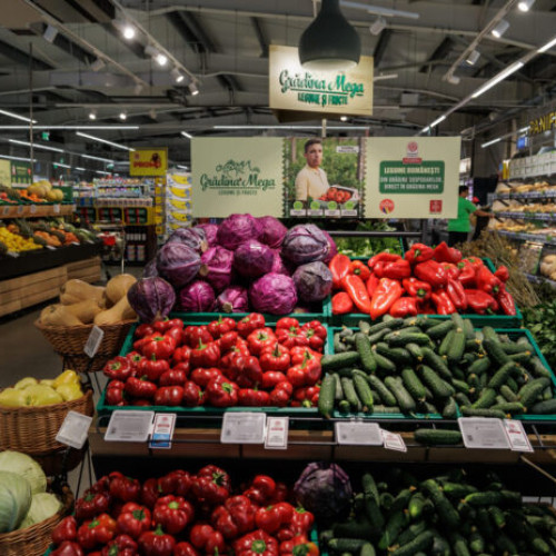 Mega Image anunță recorduri în 2025 după 11 ani de susținere a fermierilor români