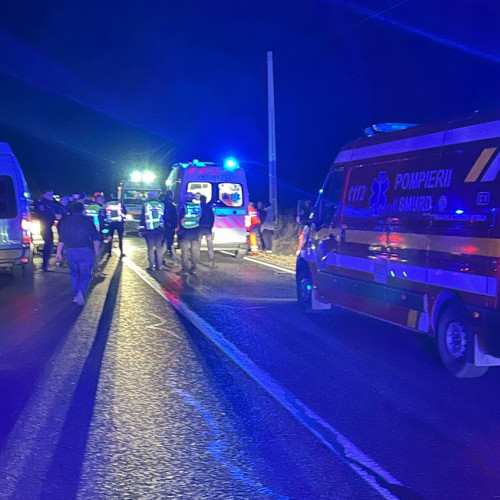 Șoferul condamnat pentru tragedia de pe DJ 391 cere rejudecarea dosarului