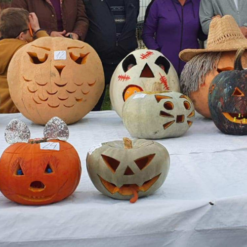 Primăria Alba Iulia invită copiii la sărbătoarea Bostaniada din Micești