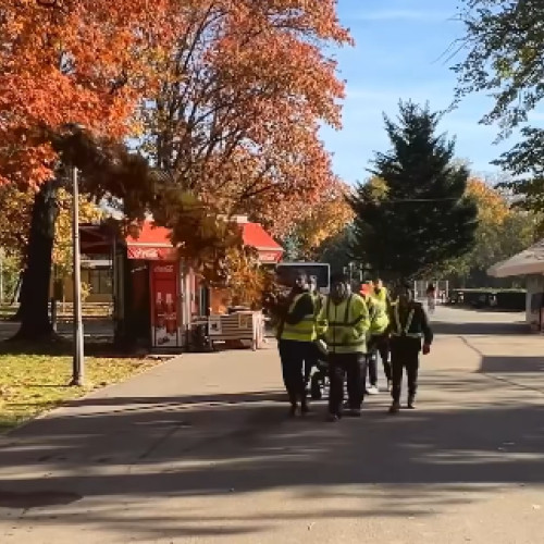 Primăria București începe plantarea a 1.000 de arbori în Parcul Regele Mihai I