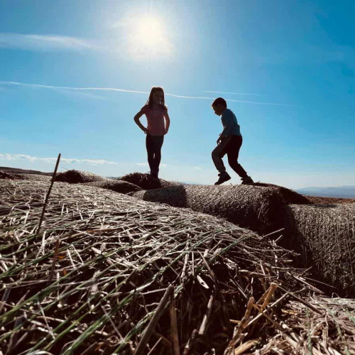 Aproape jumătate dintre părinții români plecați la muncă în străinătate invocă salariul insuficient