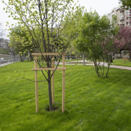 Consiliul General București actualizează normele pentru protecția spațiilor verzi după 15 ani