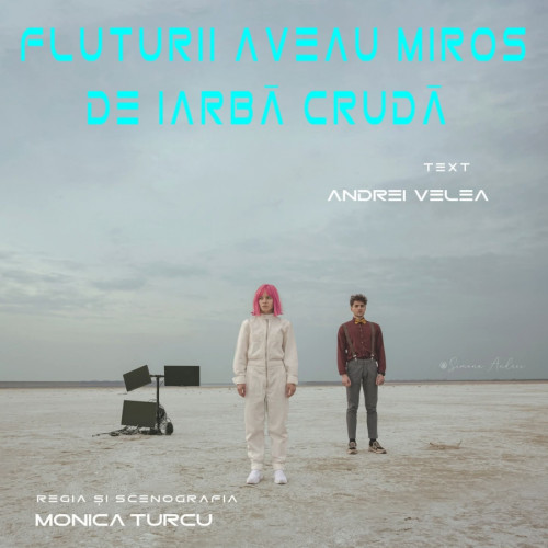 Spectacolul „Fluturii aveau miros de iarbă crudă” a primit o nominalizare importantă