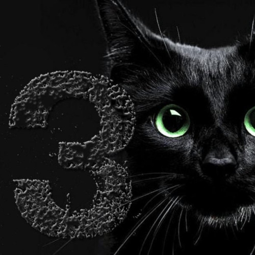 România între plecarea americanilor și incertitudinea unui nou început