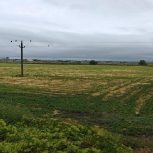 Licitație pentru un teren în Năvodari organizată la sediul AJFP Galați în noiembrie 2025