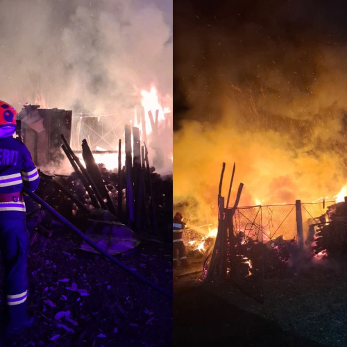 Incendiu la o magazie de lemne din Berbești, stins de pompierii vâlceni