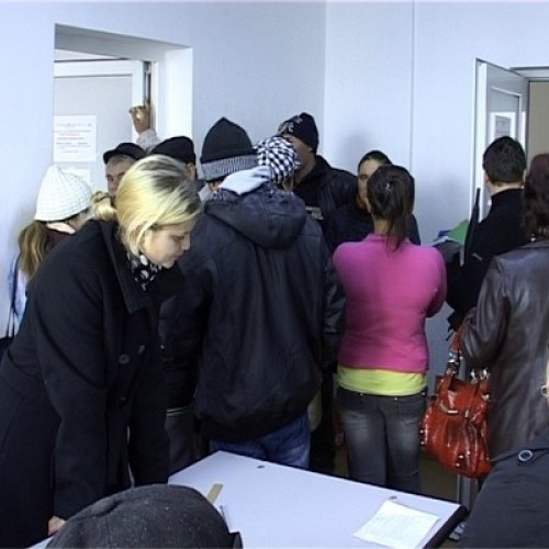 Peste 2.400 de persoane angajate prin măsurile AJOFM Botoșani în primele nouă luni din 2025