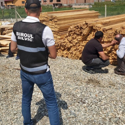 Descinderi la firme din Borca și Tașca pentru nereguli în domeniul silvic