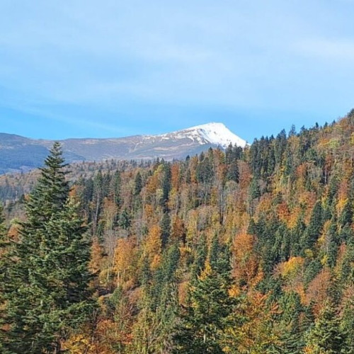 Pericole pentru turiști în zonele montane de peste 1.600 m din cauza zăpezii înghețate