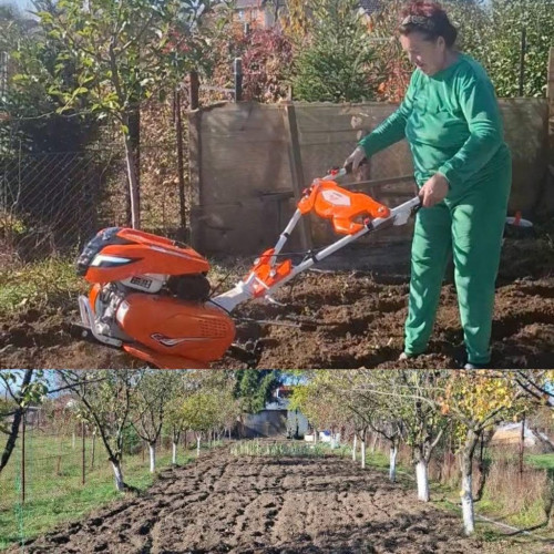 Maria Loga surprinde cu o postare autentică din grădină