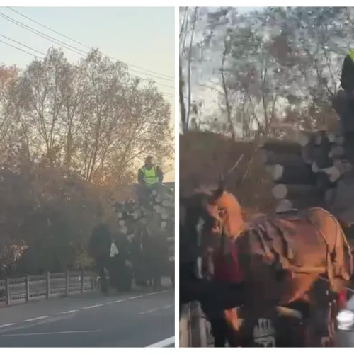 Un bărbat din Fundătura, Cluj, filmat conducând o căruță supraîncărcată cu lemne