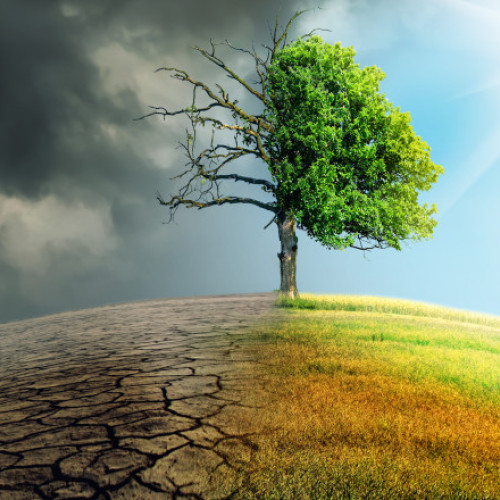 Schimbările climatice provoacă sute de mii de decese anual din cauza căldurii și poluării