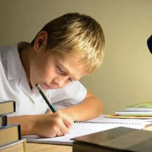 Dacian și Lucas Dolean analizează efectele temelor pentru acasă la elevi