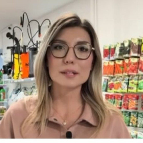 Cultura de muștar, soluție naturală pentru reducerea bolilor solului