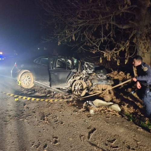 Un tânăr de 20 de ani s-a accidentat grav după ce a izbit un copac în Banat