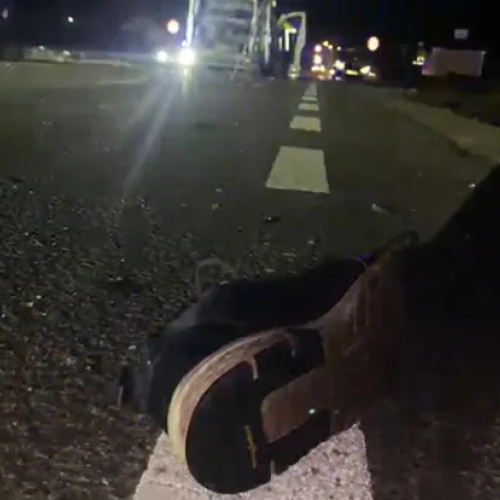 Șofer străin cercetat după un accident mortal în comuna Baciu