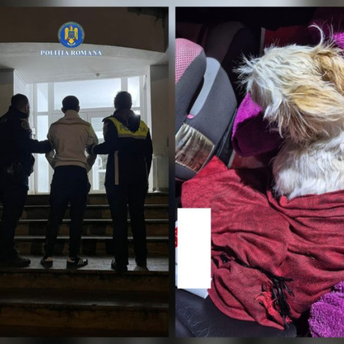 Bărbat beat din Călan își aruncă cățelul de la etajul doi al blocului