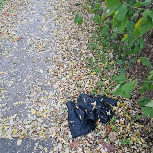 Pantaloni scurți de piele, găsiți pe o alee din Galați într-un mod neașteptat