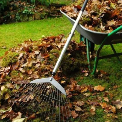 Campanie gratuită de colectare a deșeurilor vegetale în comuna Florești