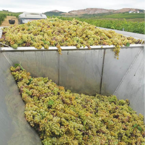 Autorul N. Dumitrescu, recunoscut pentru contribuțiile sale literare