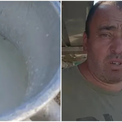 Un clujean din Mihai Viteazu și-a transformat pasiunea pentru oi într-o afacere de succes