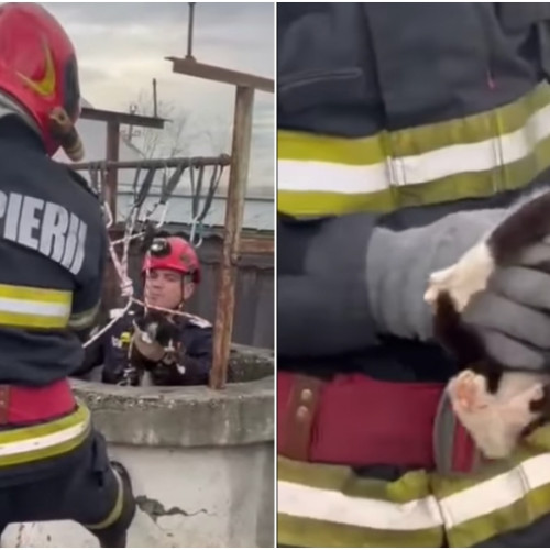 Pompierii din Bacău salvează o pisicuță căzută într-o fântână secată