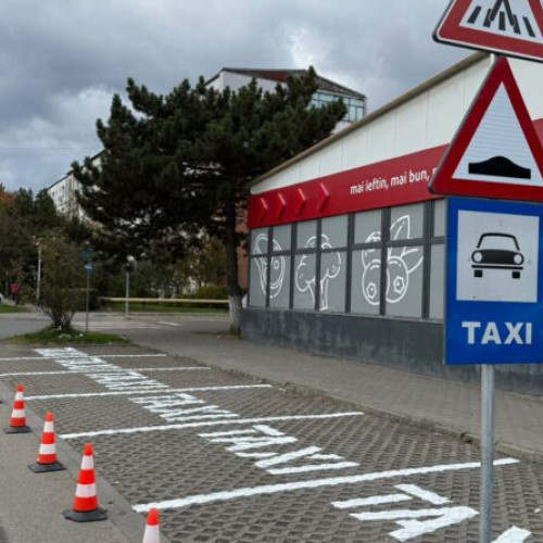 Serviciul de întreținere din Deva colorează orașul cu flori și lucrări de primăvară