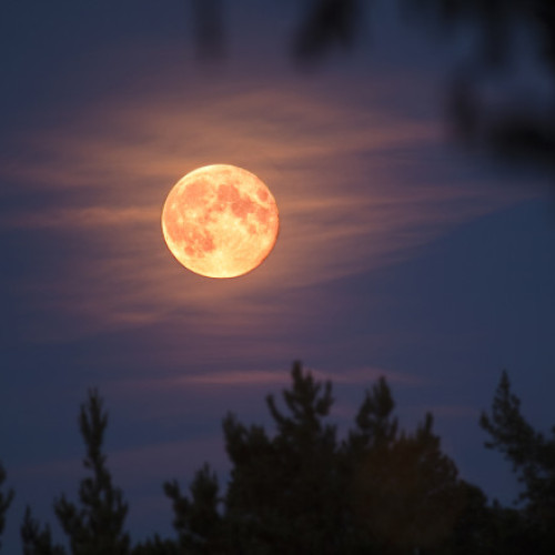 Super Luna Castorului va fi vizibilă pe cer pe 5 noiembrie
