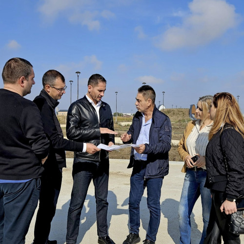 Constanța organizează o zi dedicată plantării arborilor de Ziua Dobrogei