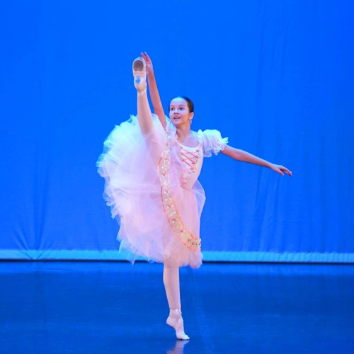 Concurs de fotografie pentru a desemna imaginea oficială a „Lebăda de Cristal” 2026