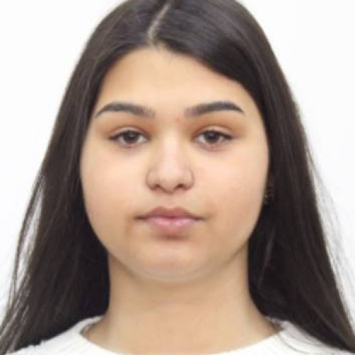 Poliția caută o minoră dispărută din Slatina de câteva zile