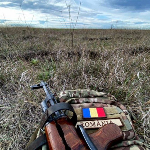 Senatul urmează să voteze legea armatei voluntare cu reforme majore