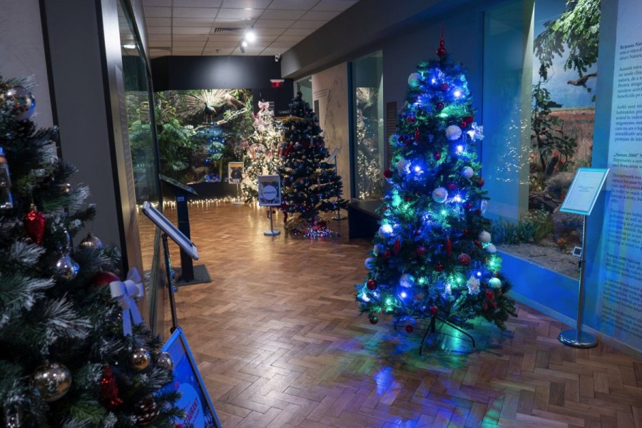 Complexul Muzeal Arad organizează evenimentul caritabil Brazi de poveste la muzeu