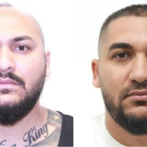 Dani Mocanu și fratele său, dați în urmărire după mandate de arest