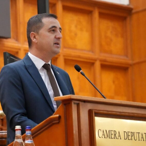 Guvernul modifică legislația privind intervențiile în cazul urșilor periculoși