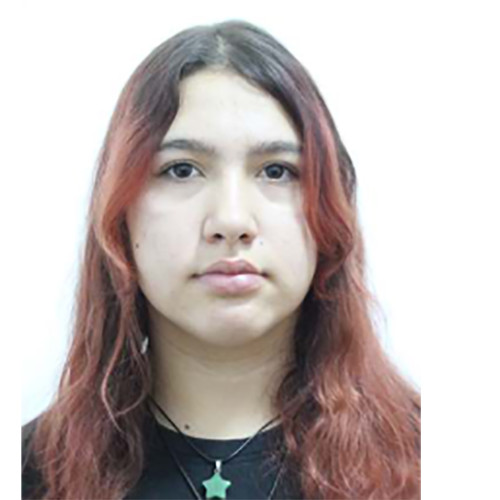 Adolescentă dispărută în Constanța, căutată de poliție