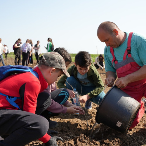 Voluntari implicați în plantarea unei noi păduri în comuna Cumpăna
