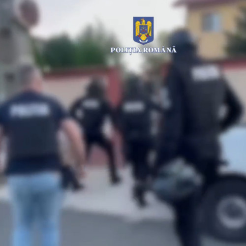 Trei bărbați cercetați pentru furt de salcâm în satul Pietreni, Constanța