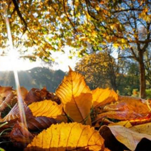 Prognoza meteo pentru următoarele patru săptămâni indică temperaturi ușor peste medie