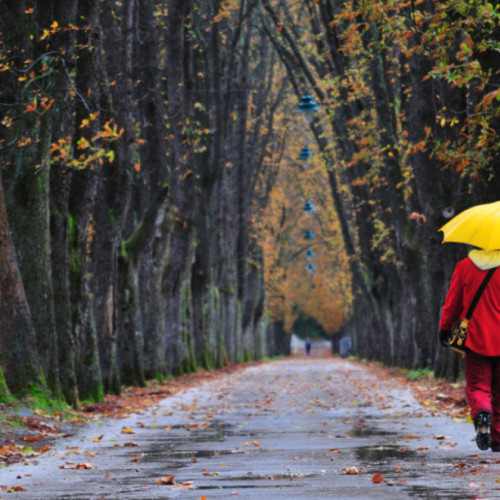Vreme schimbătoare și ploi slabe în weekend în județul Neamț
