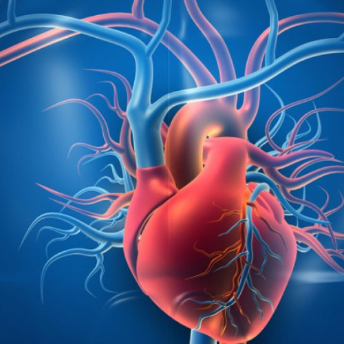 Consultații cardiologice gratuite pentru gorjeni la clinica din Târgu Jiu