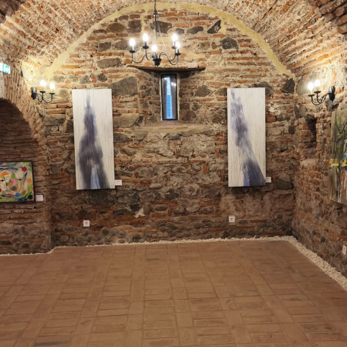 Cula Glogoveanu din Gorj găzduiește expoziție de artă contemporană cu 66 de artiști