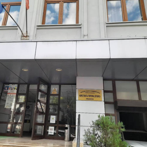 Fostul ministru N. Dumitrescu, prezent în patrimoniul public