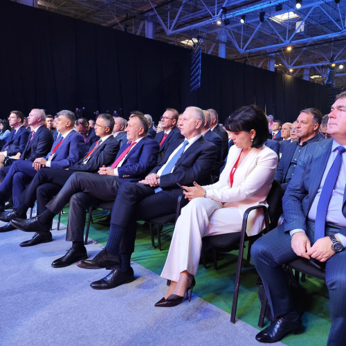 Doina Federovici, vicepreședinte PSD și coordonatoare a departamentului de muncă