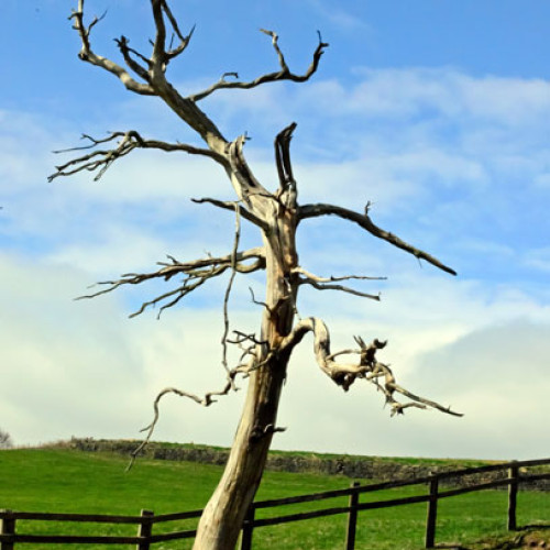 Cine ne-a despărțit și când a început această ruptură profundă?